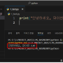 run_python.png